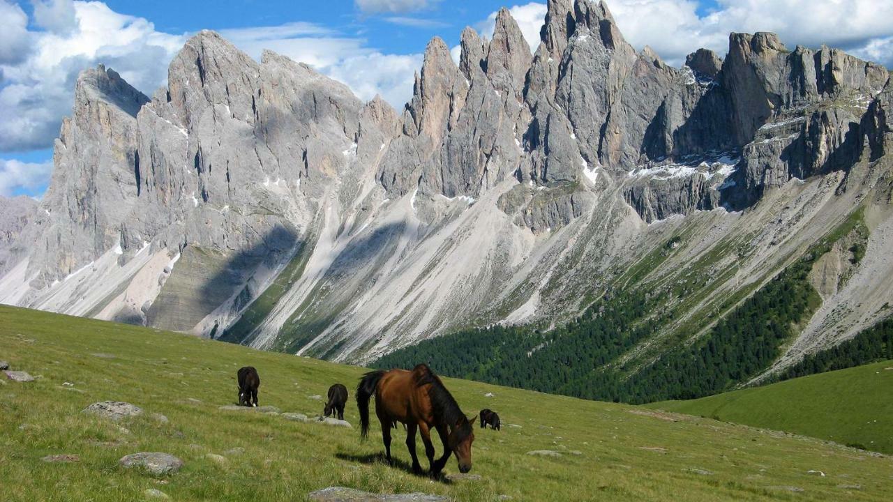 Villa Perla Selva di Val Gardena Luaran gambar